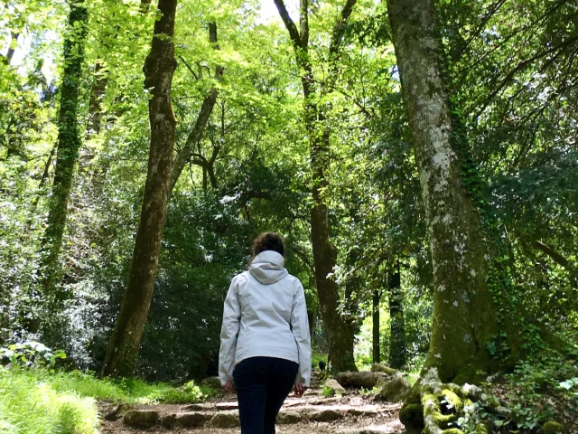 Woman hiking on the Sainte-Baume, photographed from behind
