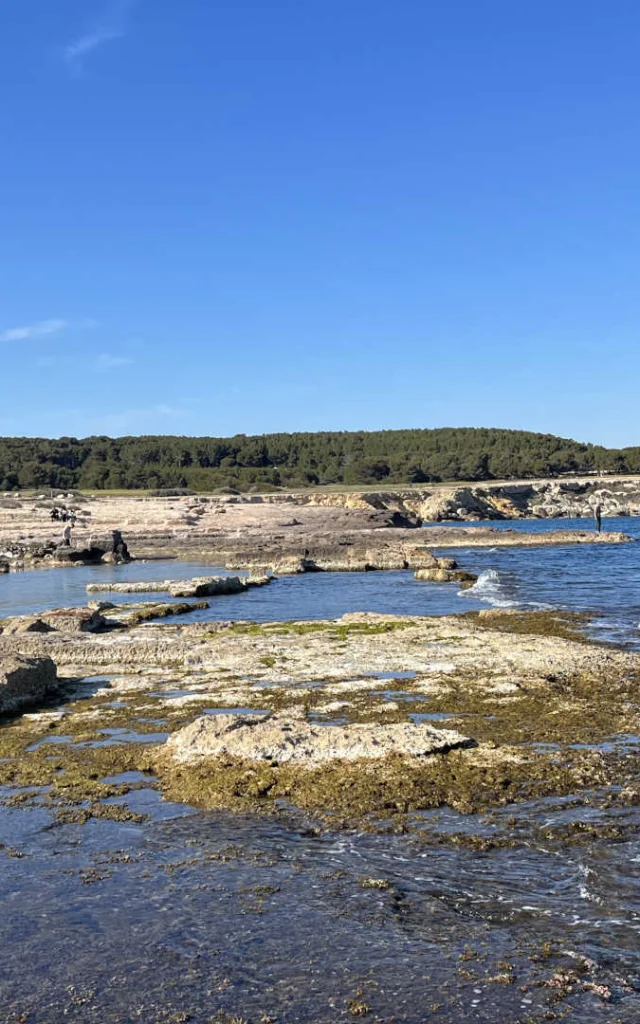 Le littoral sauvage de La Couronne, sur la Côte Bleue