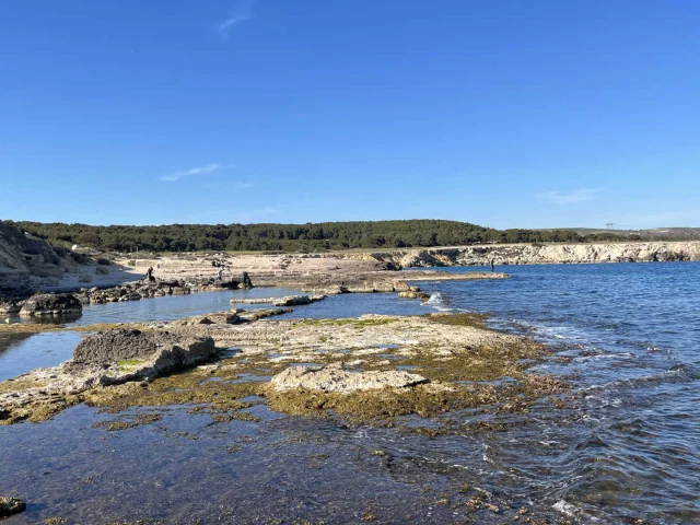 La Couronne Cote Bleue Cchillio