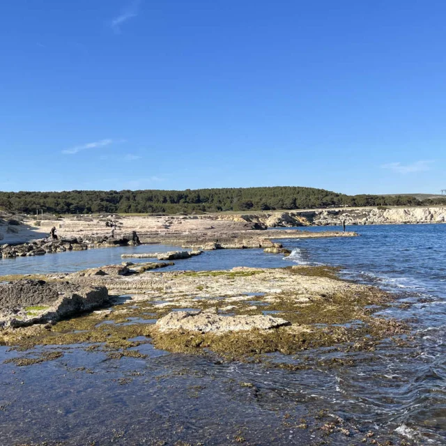 Le littoral sauvage de La Couronne, sur la Côte Bleue