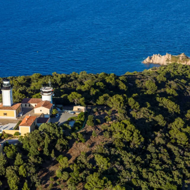 Le phare de Camarat, ses alentours verdoyants et la mer