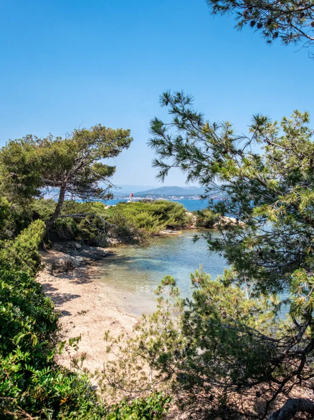 Plage Ile Des Embiez Société Paul Ricard Ile Des Embiez
