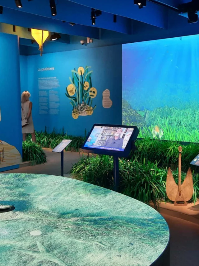 Visite de Posidonia, l'Espace Mer et Littoral d'Antibes