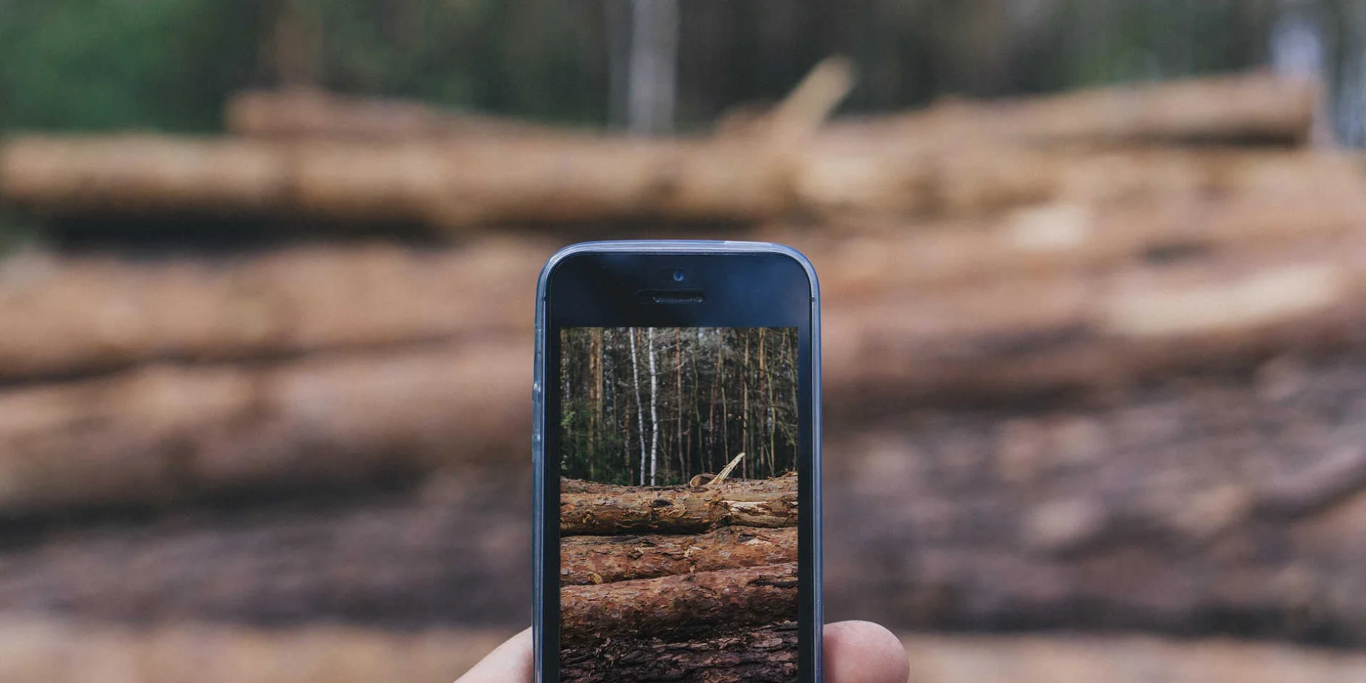 A smartphone takes a photo in the forest