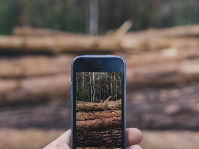 Smartphone en forêt