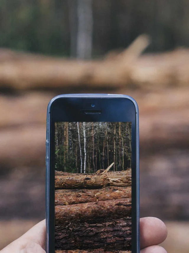 Smartphone en forêt