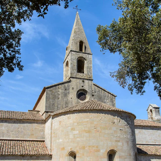 L'abbaye du Thoronet apparaît entre les arbres
