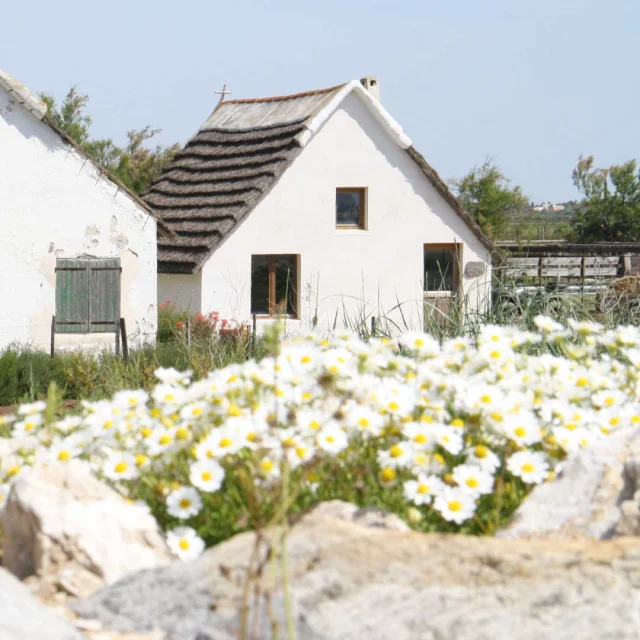 La cabane de gardian de Simbeu du marquis de Baroncelli