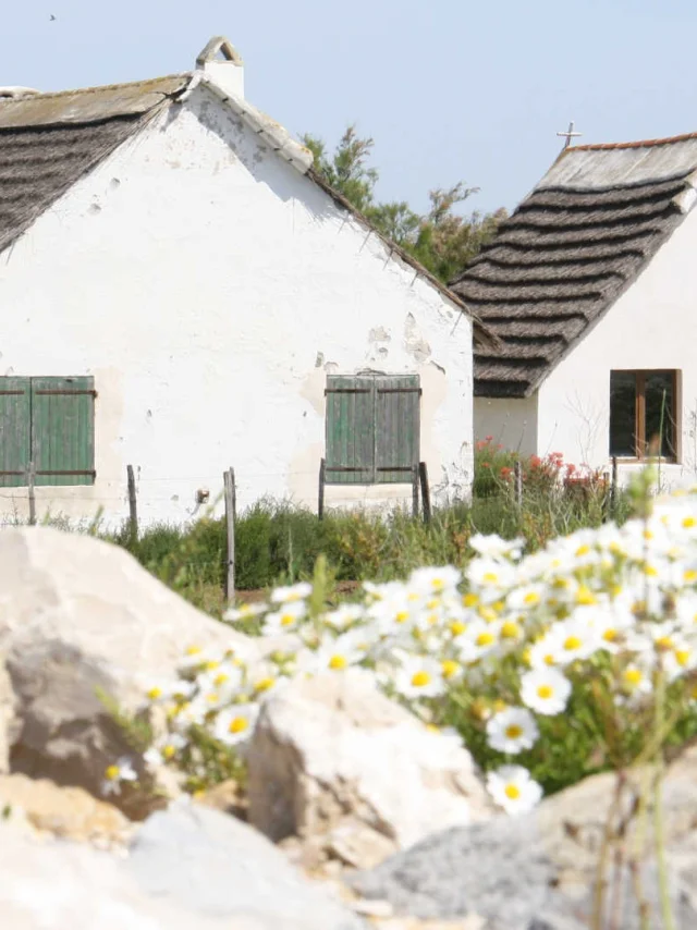 The Marquis de Baroncelli's gardian's hut at Simbeu