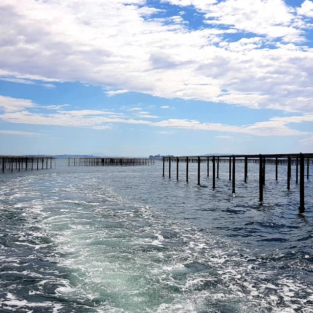 Conchyliculture au large de Port-Saint-Louis-du-Rhône