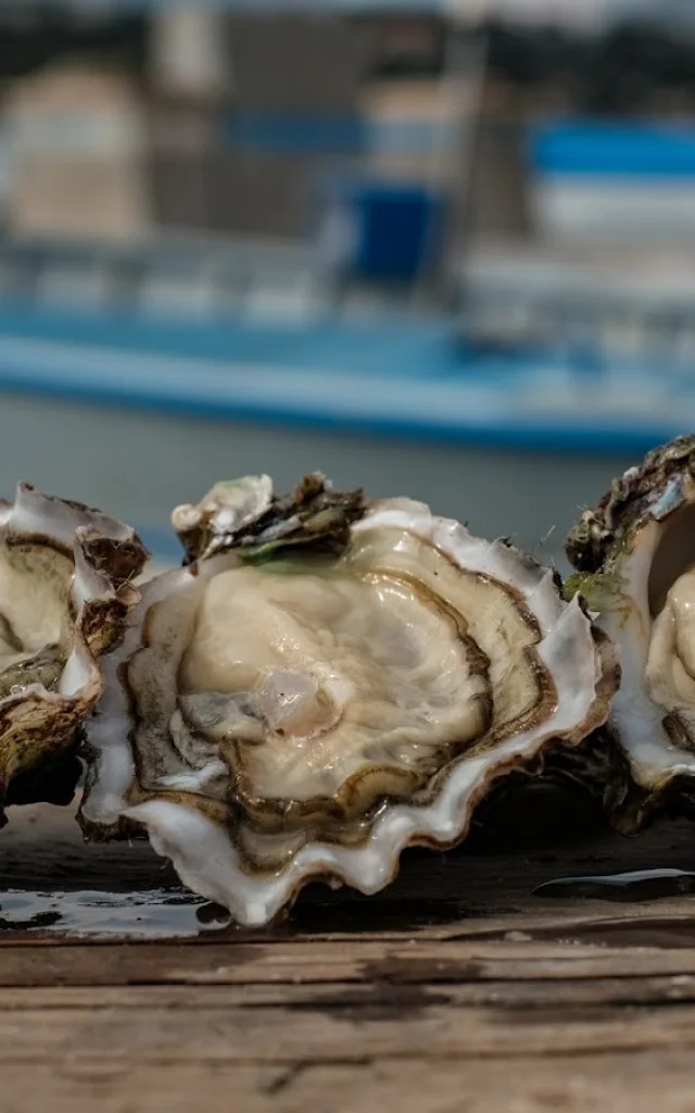 Gros plan sur les huîtres de la baie du Lazaret et bateaux en arrière-plan