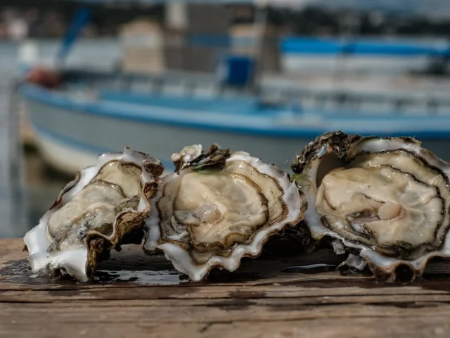 Gros plan sur les huîtres de la baie du Lazaret et bateaux en arrière-plan