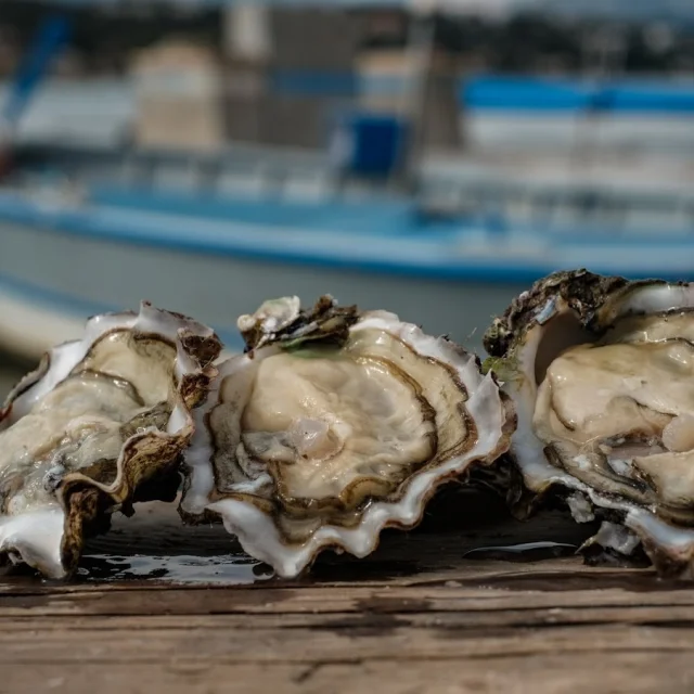Gros plan sur les huîtres de la baie du Lazaret et bateaux en arrière-plan