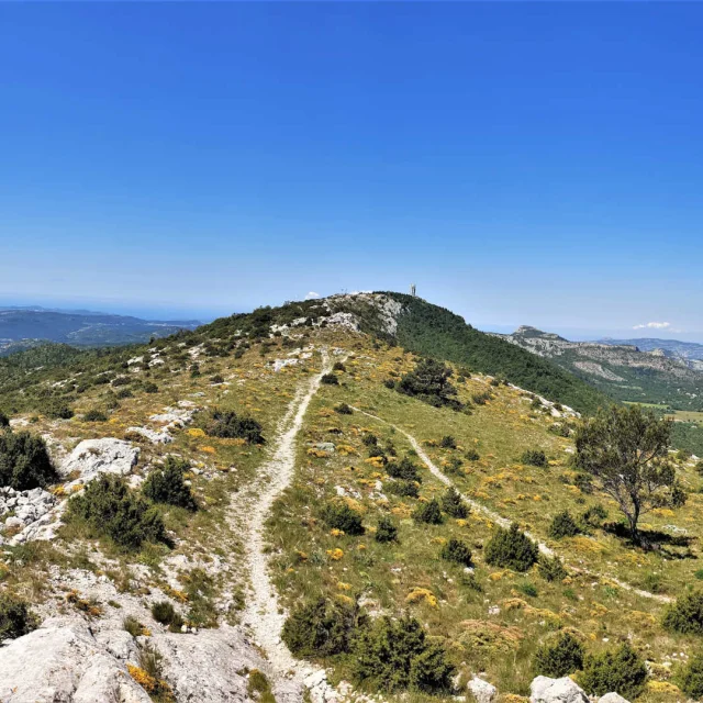 Vue panoramique depuis la crête de la Saint-Baume