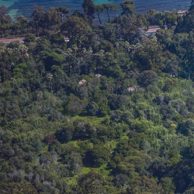 Vue aérienne du Parc Départemental du Paradou et la mer en arrière-plan