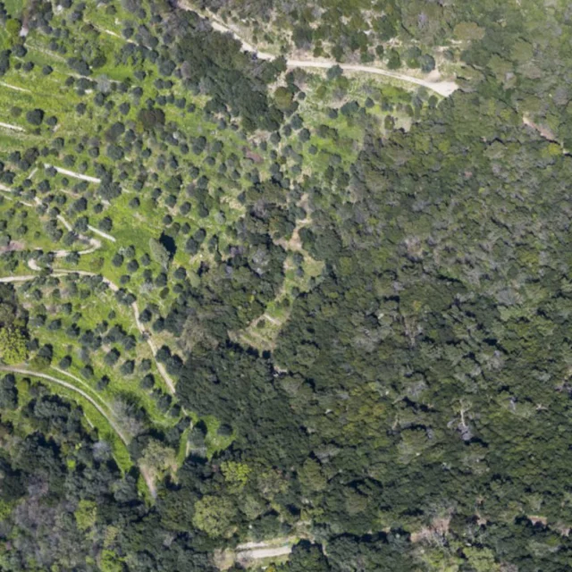Vue aérienne du Parc du Mont-Vinaigrier