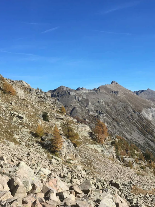 Panorama de l'environnement rocheux et montagnard du Parc national du Mercantour