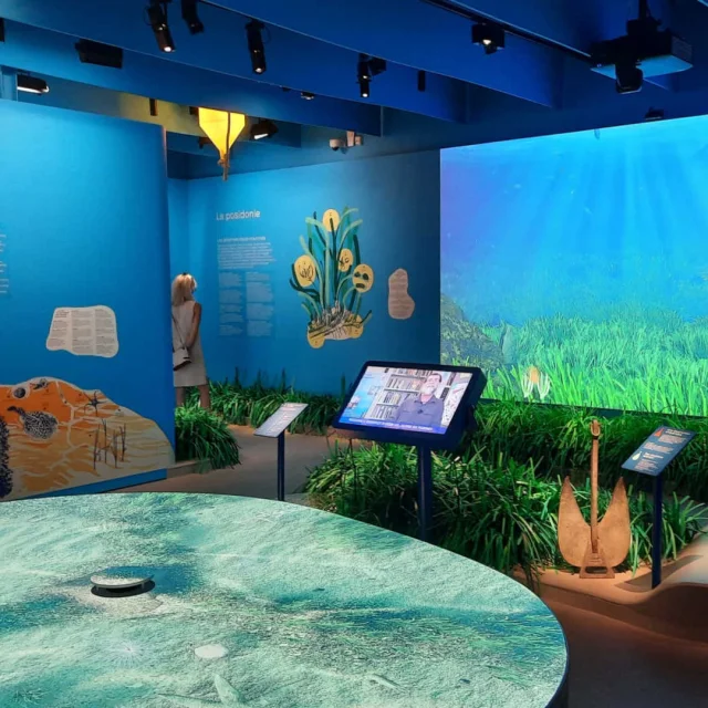 Parcours d'exposition Posidonia-Espace Mer et Littoral