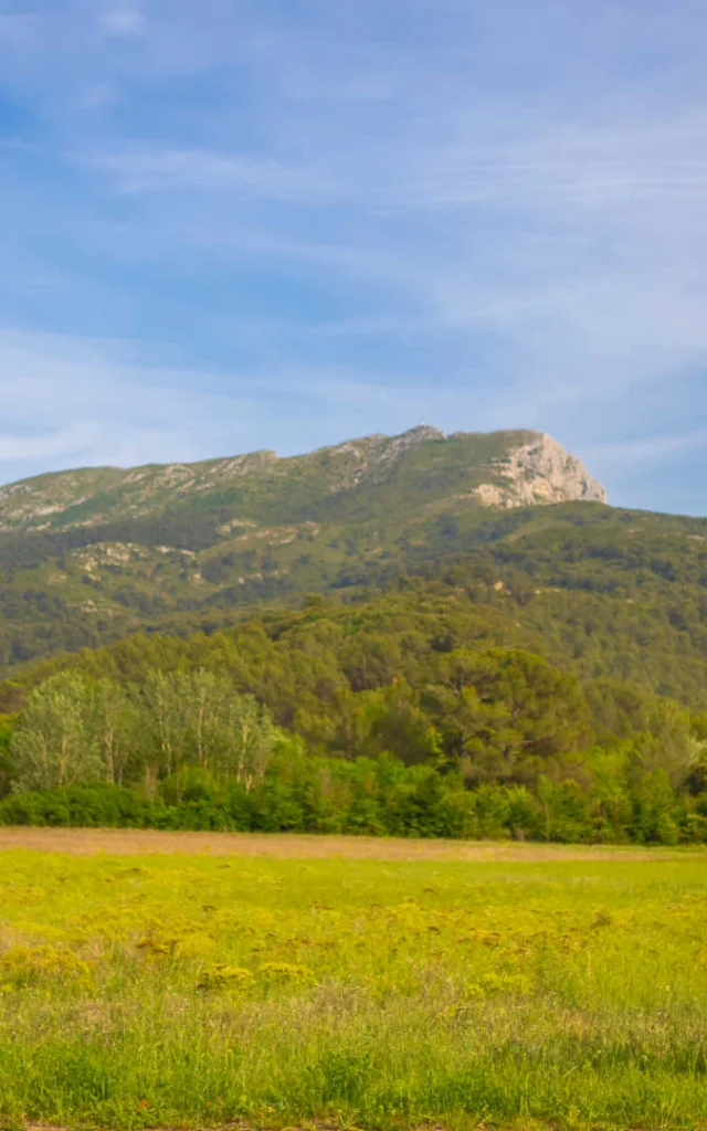 Deux randonneuses de dos qui admirent le massif de la Sainte-Victoire