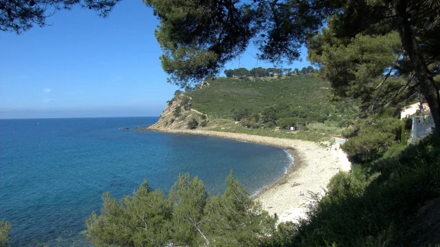 Vue entre les arbres de la plage déserte de la Coudoulière sur la presqu'île de Saint-Mandrier