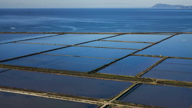 Vue aérienne du Salin des Pesquiers