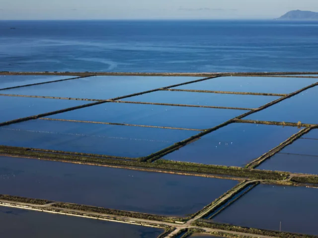 Vue aérienne du Salin des Pesquiers