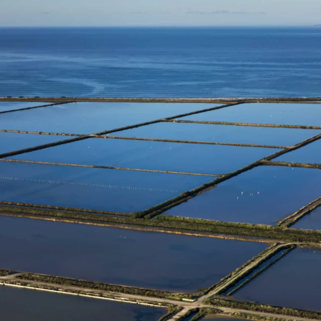 Vue aérienne du Salin des Pesquiers