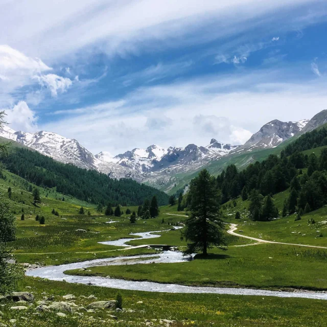 La rivière qui serpente au milieu du vallon de Lauzanier avec les montagnes en arrière-plan
