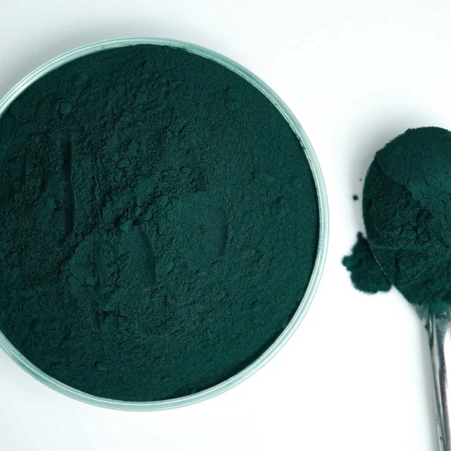 Poudre de spiruline dans une assiette