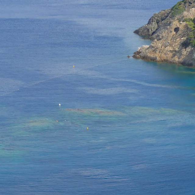 Le sentier sous-marin de La Palud Port-Cros