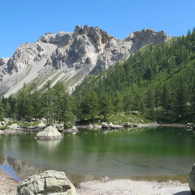 Le décor de montagne et de forêt autour du lac Vert