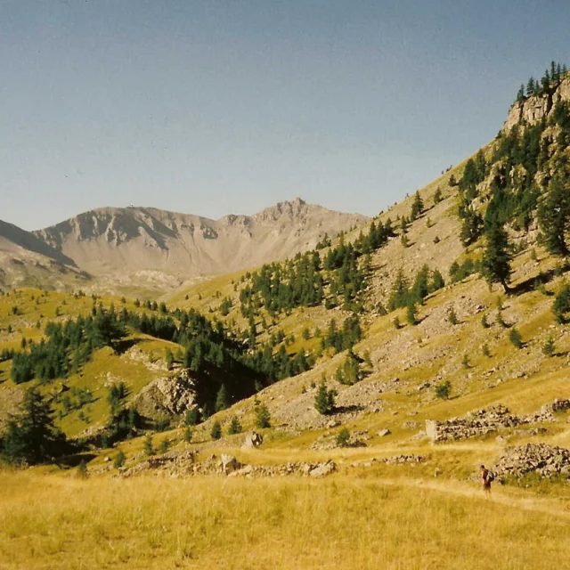 Un randonneur dans les prairies verdoyantes de la vallée de Gialorgues