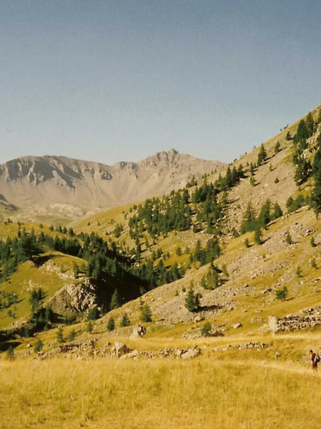 Un randonneur dans les prairies verdoyantes de la vallée de Gialorgues