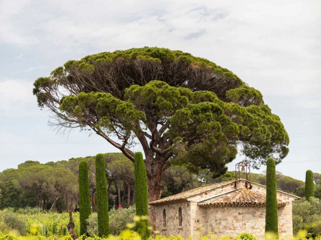 Bâtisse Teritoria Provence-Alpes-Côte d'Azur