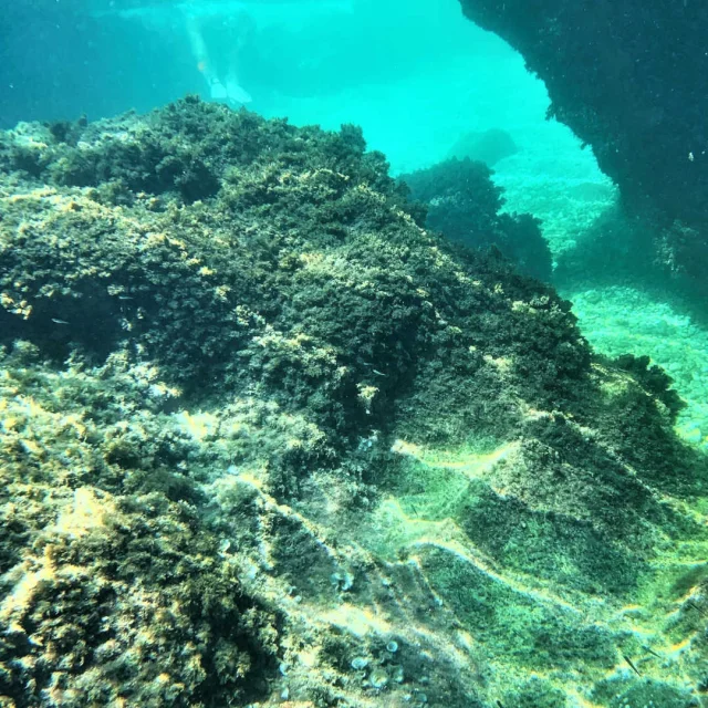 Vue sous-marine lors d'une session de snorkeling dans les Calanques
