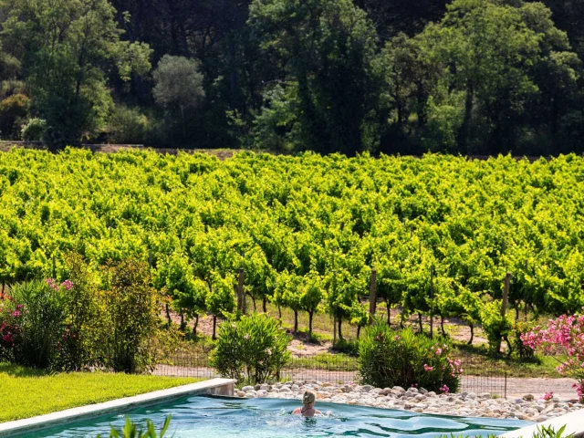 Piscine et vignes Teritoria Provence-Alpes-Côte d'Azur