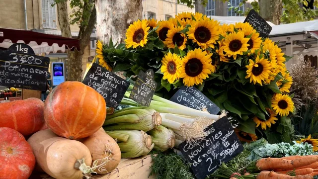 Celindanoa 2022 29862 Redimensionnee