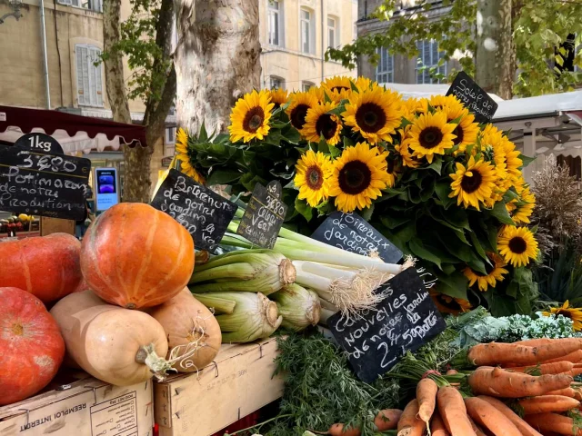 Celindanoa 2022 29862 Redimensionnee