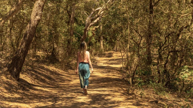 Rückenfrau beim Wandern in Porquerolles