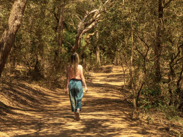 Femme de dos en balade à Porquerolles