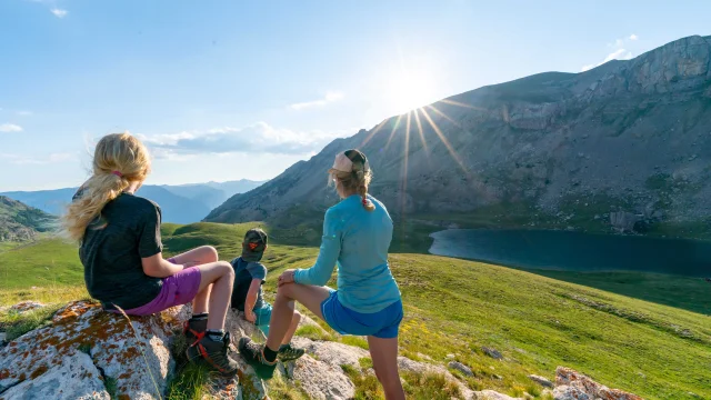 Van Rijnr 2024 42472