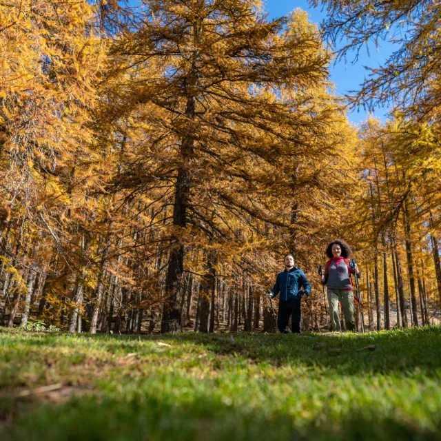 Couple en randonnée en forêt dans le Haut-Verdon en automne