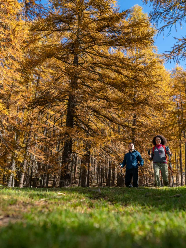 Paar bei einer Waldwanderung im Haut-Verdon im Herbst