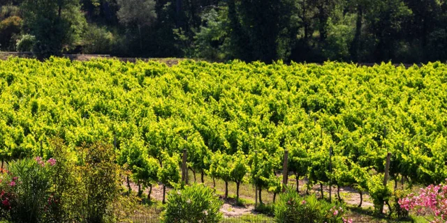 Piscine établissement Teritoria