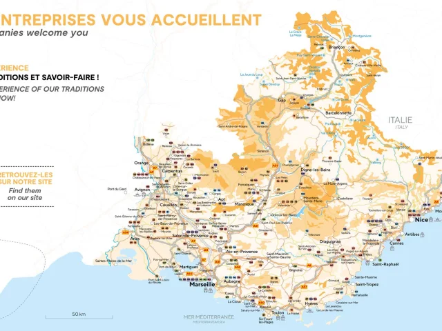 Carte Flyer Visite Entreprise Web