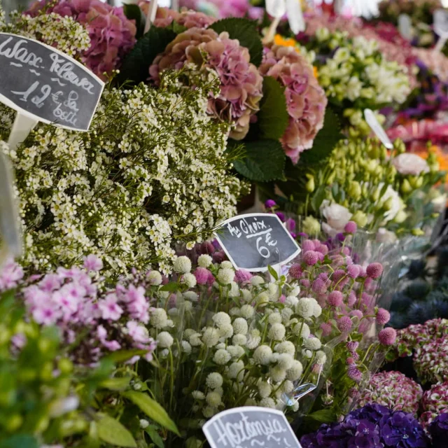 Bundles of flowers at a market