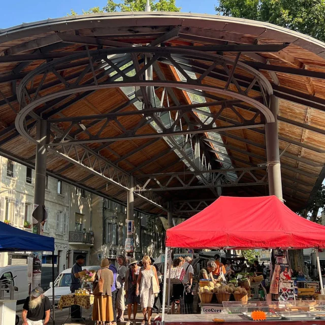 Market hall on Place des Carmes in Avignon