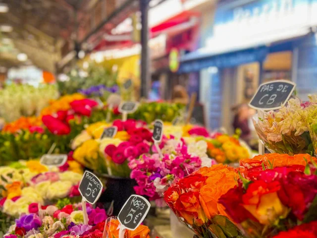Display of red, pink and orange flowers at a flower market