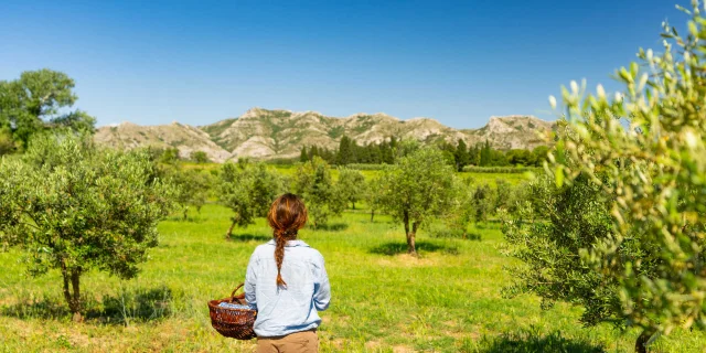 Young woman seen from behind visiting the Moulin de Castelas windmill in the Alpilles mountains