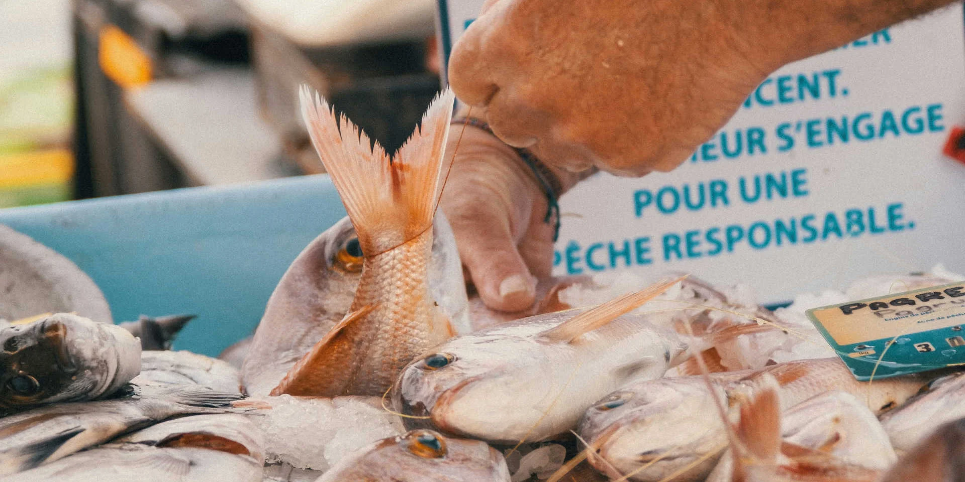 A hand ties a fish to a sustainable fishing stall